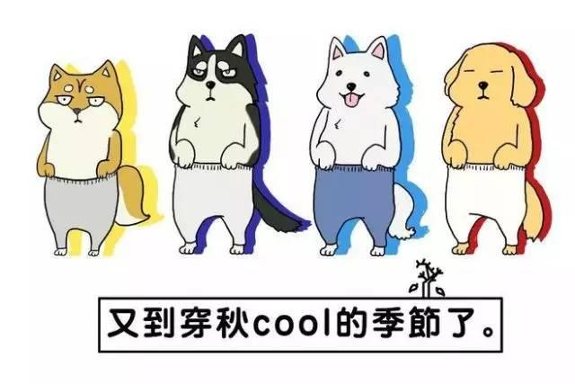 秋褲 秋褲